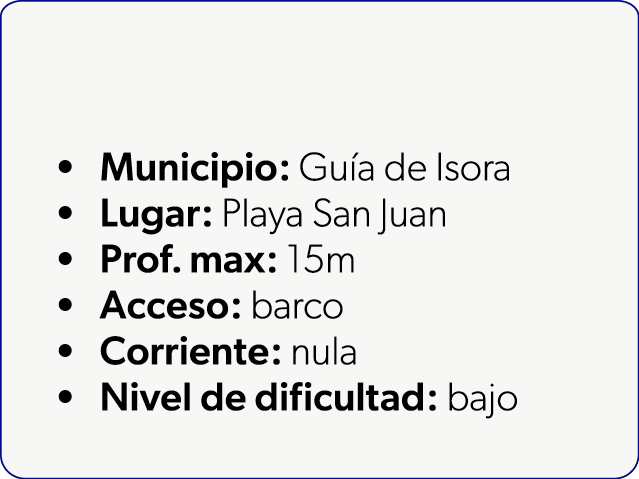  Municipio: Gu a de Isora Lugar: Playa San Juan Prof. max: 15m Acceso: barco Corriente: nula Nivel de dificultad: bajo