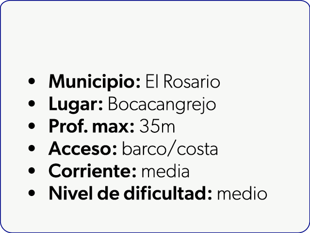  Municipio: El Rosario Lugar: Bocacangrejo Prof. max: 35m Acceso: barco/costa Corriente: media Nivel de dificultad: m...