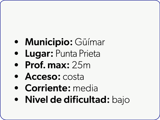  Municipio: G mar Lugar: Punta Prieta Prof. max: 25m Acceso: costa Corriente: media Nivel de dificultad: bajo