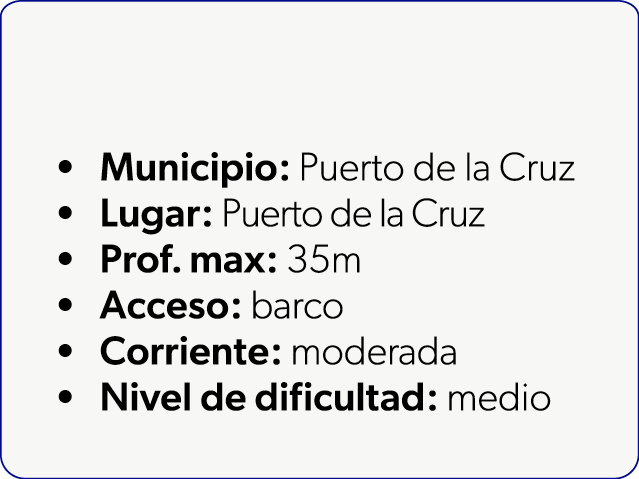  Municipio: Puerto de la Cruz Lugar: Puerto de la Cruz Prof. max: 35m Acceso: barco Corriente: moderada Nivel de difi...