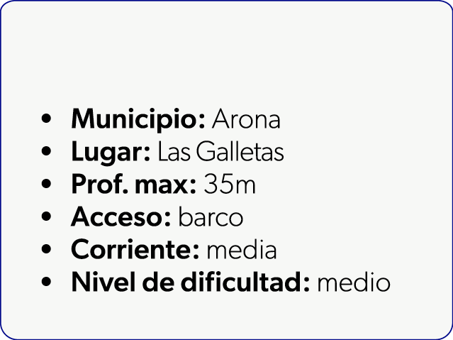  Municipio: Arona Lugar: Las Galletas Prof. max: 35m Acceso: barco Corriente: media Nivel de dificultad: medio