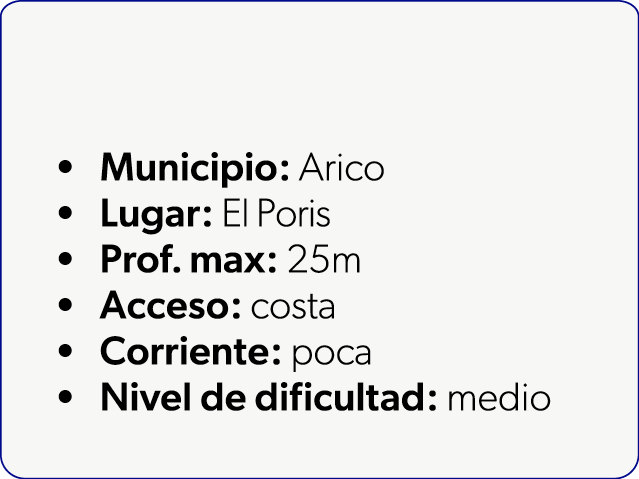  Municipio: Arico Lugar: El Poris Prof. max: 25m Acceso: costa Corriente: poca Nivel de dificultad: medio