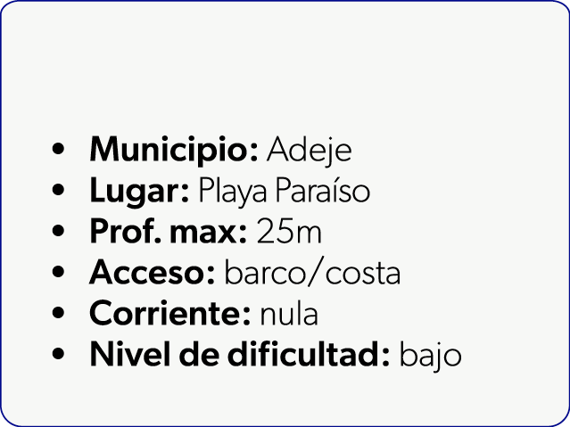  Municipio: Adeje Lugar: Playa Para so Prof. max: 25m Acceso: barco/costa Corriente: nula Nivel de dificultad: bajo