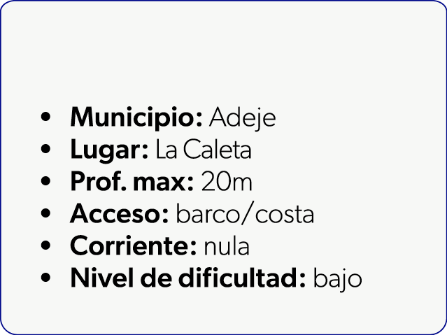  Municipio: Adeje Lugar: La Caleta Prof. max: 20m Acceso: barco/costa Corriente: nula Nivel de dificultad: bajo