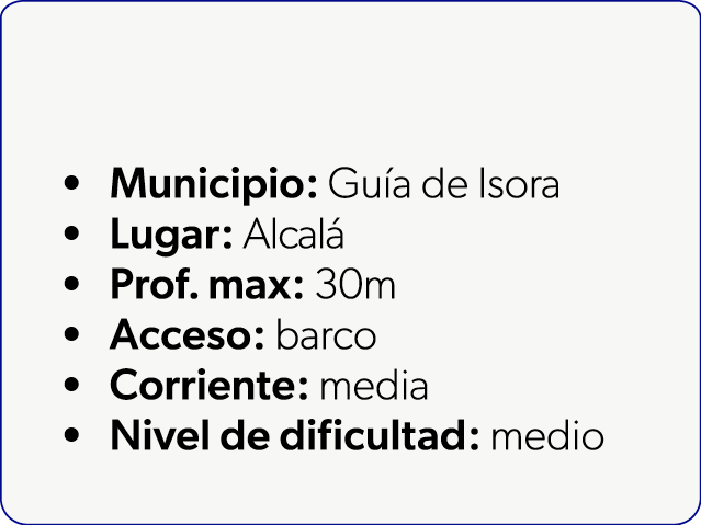  Municipio: Gu a de Isora Lugar: Alcal Prof. max: 30m Acceso: barco Corriente: media Nivel de dificultad: medio