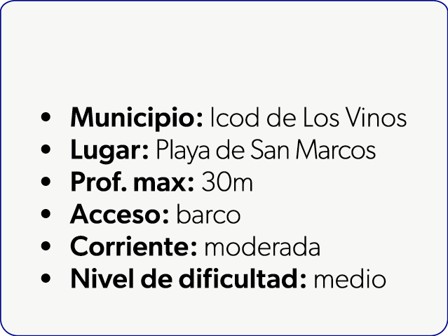  Municipio: Icod de Los Vinos Lugar: Playa de San Marcos Prof. max: 30m Acceso: barco Corriente: moderada Nivel de di...
