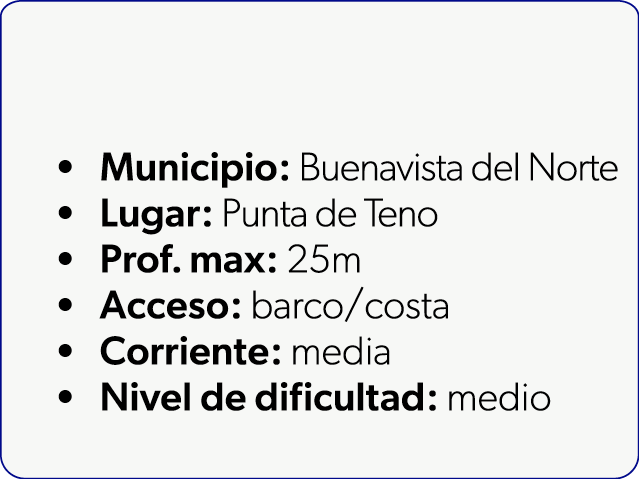  Municipio: Buenavista del Norte Lugar: Punta de Teno Prof. max: 25m Acceso: barco/costa Corriente: media Nivel de di...