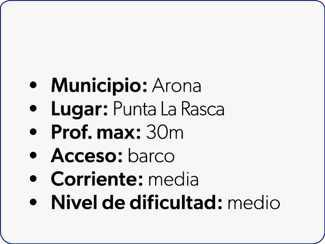  Municipio: Arona Lugar: Punta La Rasca Prof. max: 30m Acceso: barco Corriente: media Nivel de dificultad: medio