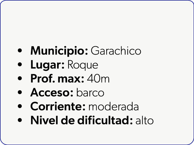  Municipio: Garachico Lugar: Roque Prof. max: 40m Acceso: barco Corriente: moderada Nivel de dificultad: alto