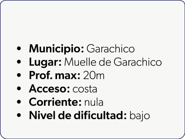  Municipio: Garachico Lugar: Muelle de Garachico Prof. max: 20m Acceso: costa Corriente: nula Nivel de dificultad: bajo