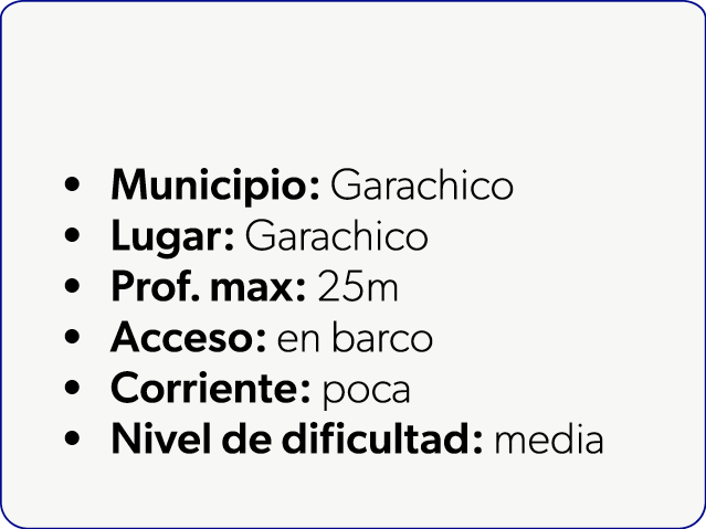  Municipio: Garachico Lugar: Garachico Prof. max: 25m Acceso: en barco Corriente: poca Nivel de dificultad: media
