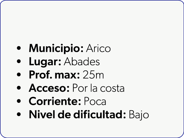  Municipio: Arico Lugar: Abades Prof. max: 25m Acceso: Por la costa Corriente: Poca Nivel de dificultad: Bajo