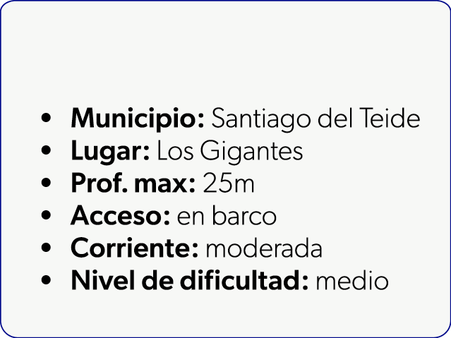  Municipio: Santiago del Teide Lugar: Los Gigantes Prof. max: 25m Acceso: en barco Corriente: moderada Nivel de dific...