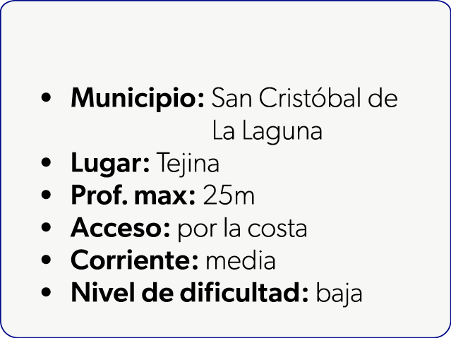  Municipio: San Crist bal de La Laguna Lugar: Tejina Prof. max: 25m Acceso: por la costa Corriente: media Nivel de di...
