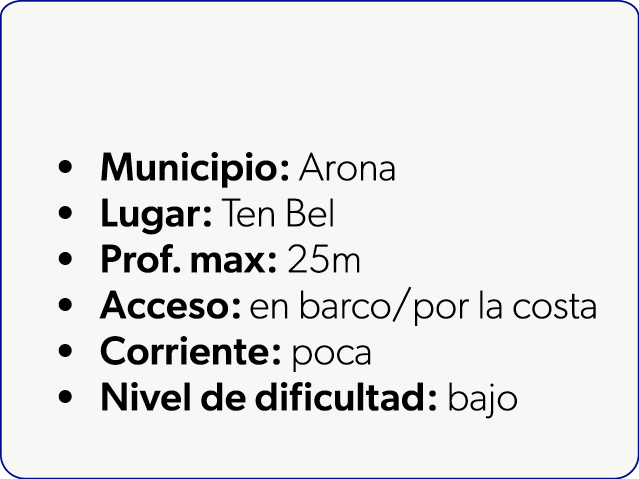  Municipio: Arona Lugar: Ten Bel Prof. max: 25m Acceso: en barco/por la costa Corriente: poca Nivel de dificultad: bajo 