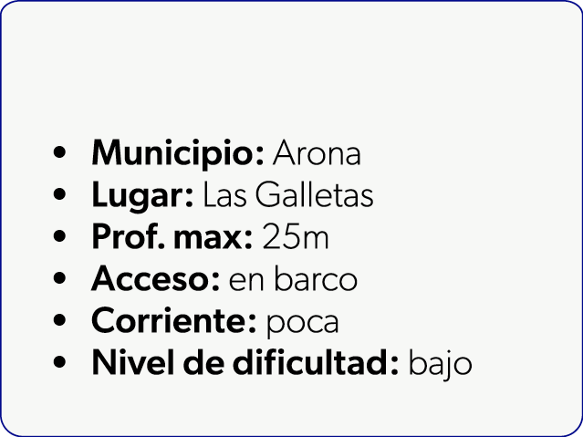  Municipio: Arona Lugar: Las Galletas Prof. max: 25m Acceso: en barco Corriente: poca Nivel de dificultad: bajo