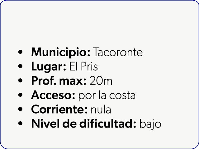  Municipio: Tacoronte Lugar: El Pris Prof. max: 20m Acceso: por la costa Corriente: nula Nivel de dificultad: bajo