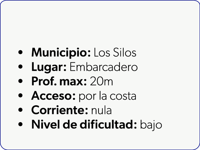  Municipio: Los Silos Lugar: Embarcadero Prof. max: 20m Acceso: por la costa Corriente: nula Nivel de dificultad: bajo