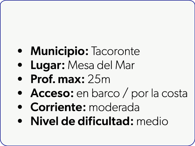  Municipio: Tacoronte Lugar: Mesa del Mar Prof. max: 25m Acceso: en barco / por la costa Corriente: moderada Nivel de...
