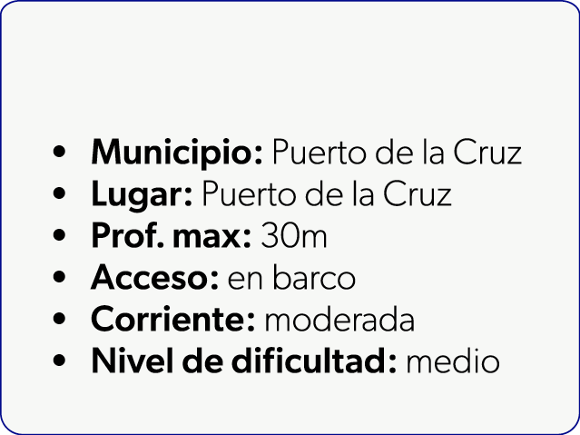  Municipio: Puerto de la Cruz Lugar: Puerto de la Cruz Prof. max: 30m Acceso: en barco Corriente: moderada Nivel de d...