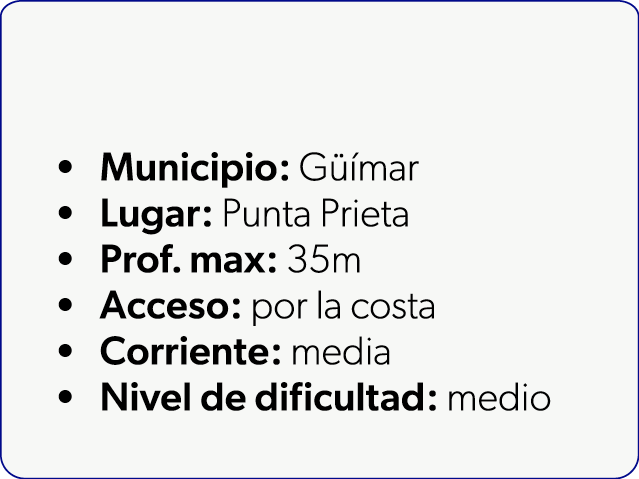  Municipio: G mar Lugar: Punta Prieta Prof. max: 35m Acceso: por la costa Corriente: media Nivel de dificultad: medio