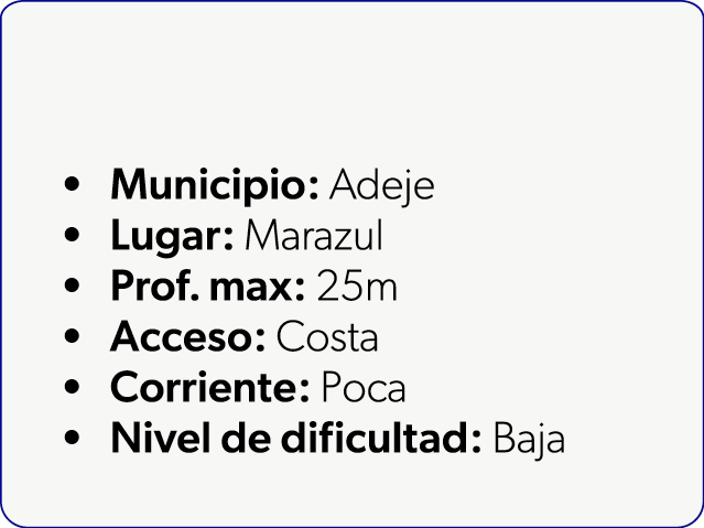  Municipio: Adeje Lugar: Marazul Prof. max: 25m Acceso: Costa Corriente: Poca Nivel de dificultad: Baja
