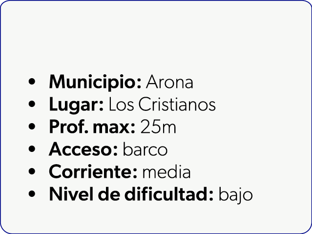  Municipio: Arona Lugar: Los Cristianos Prof. max: 25m Acceso: barco Corriente: media Nivel de dificultad: bajo