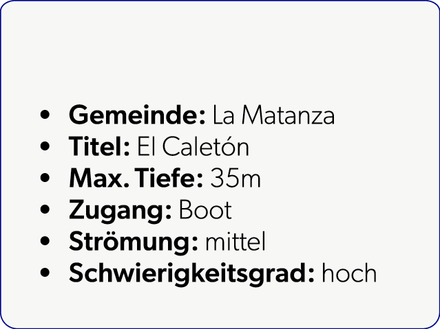  Gemeinde: La Matanza Titel: El Calet n Max. Tiefe: 35m Zugang: Boot Str mung: mittel Schwierigkeitsgrad: hoch