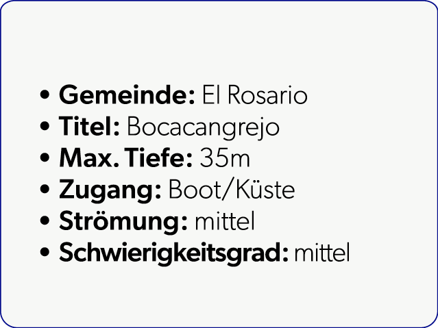  Gemeinde: El Rosario Titel: Bocacangrejo Max. Tiefe: 35m Zugang: Boot/K ste Str mung: mittel Schwierigkeitsgrad: mittel