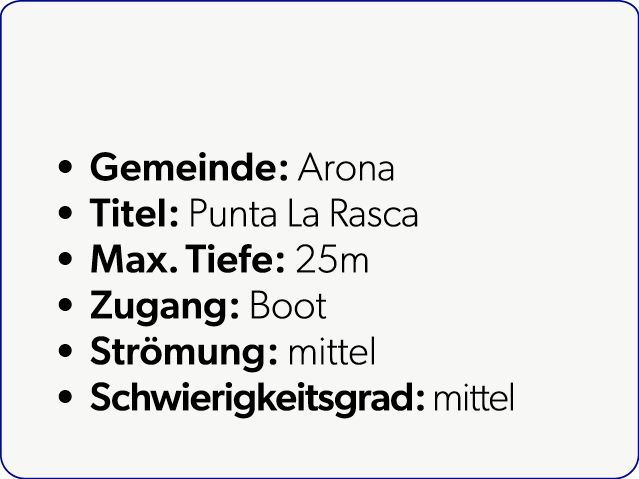 Gemeinde: Arona Titel: Punta La Rasca Max. Tiefe: 25m Zugang: Boot Str mung: mittel Schwierigkeitsgrad: mittel