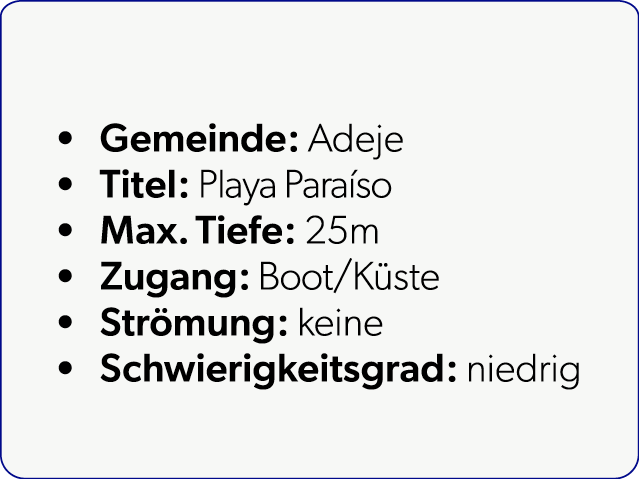  Gemeinde: Adeje Titel: Playa Para so Max. Tiefe: 25m Zugang: Boot/K ste Str mung: keine Schwierigkeitsgrad: niedrig
