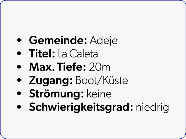  Gemeinde: Adeje Titel: La Caleta Max. Tiefe: 20m Zugang: Boot/K ste Str mung: keine Schwierigkeitsgrad: niedrig