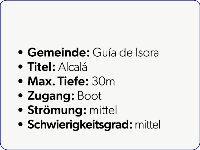  Gemeinde: Gu a de Isora Titel: Alcal Max. Tiefe: 30m Zugang: Boot Str mung: mittel Schwierigkeitsgrad: mittel