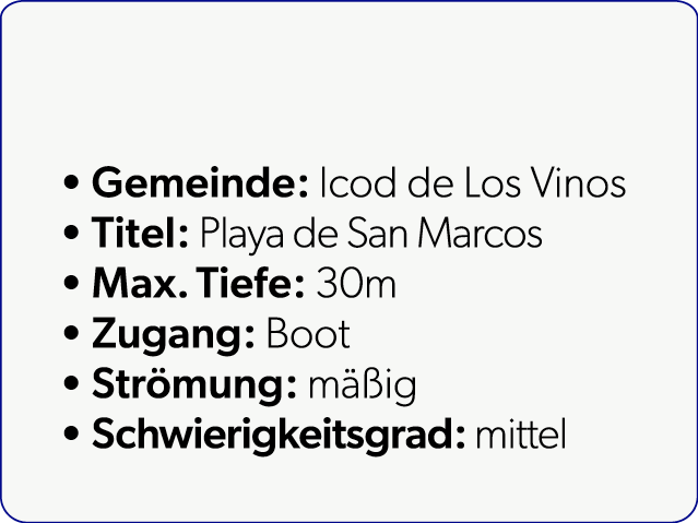  Gemeinde: Icod de Los Vinos Titel: Playa de San Marcos Max. Tiefe: 30m Zugang: Boot Str mung: m ig Schwierigkeitsgr...