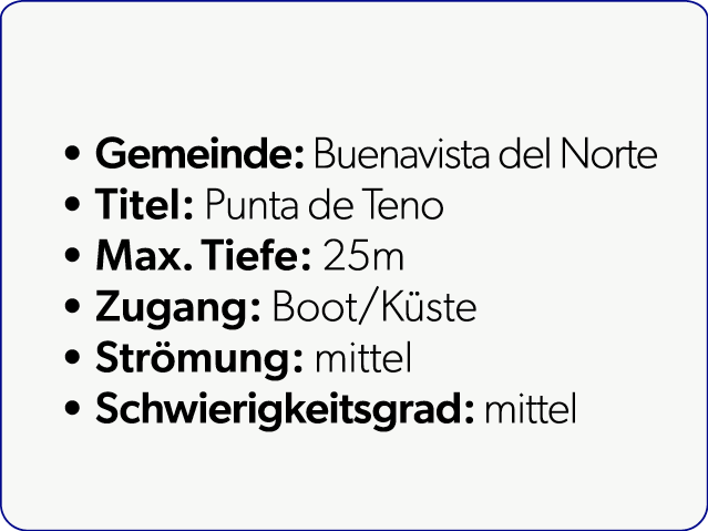  Gemeinde: Buenavista del Norte Titel: Punta de Teno Max. Tiefe: 25m Zugang: Boot/K ste Str mung: mittel Schwierigkei...