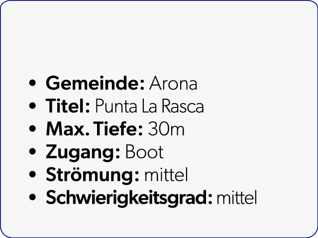  Gemeinde: Arona Titel: Punta La Rasca Max. Tiefe: 30m Zugang: Boot Str mung: mittel Schwierigkeitsgrad: mittel