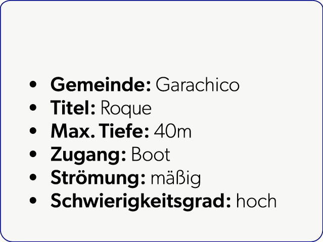  Gemeinde: Garachico Titel: Roque Max. Tiefe: 40m Zugang: Boot Str mung: m ig Schwierigkeitsgrad: hoch
