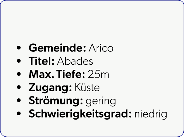  Gemeinde: Arico Titel: Abades Max. Tiefe: 25m Zugang: K ste Str mung: gering Schwierigkeitsgrad: niedrig