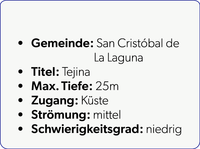  Gemeinde: San Crist bal de La Laguna Titel: Tejina Max. Tiefe: 25m Zugang: K ste Str mung: mittel Schwierigkeitsgrad...