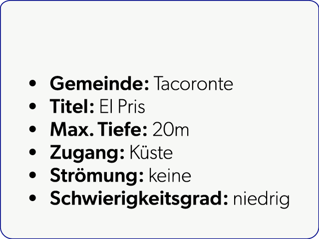  Gemeinde: Tacoronte Titel: El Pris Max. Tiefe: 20m Zugang: K ste Str mung: keine Schwierigkeitsgrad: niedrig