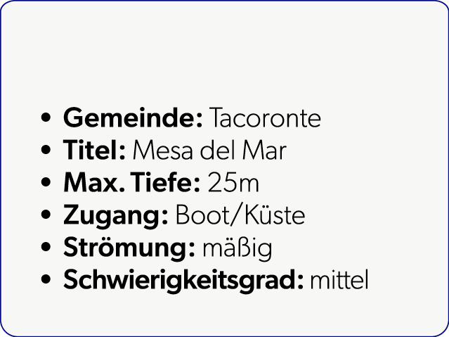  Gemeinde: Tacoronte Titel: Mesa del Mar Max. Tiefe: 25m Zugang: Boot/K ste Str mung: m ig Schwierigkeitsgrad: mittel