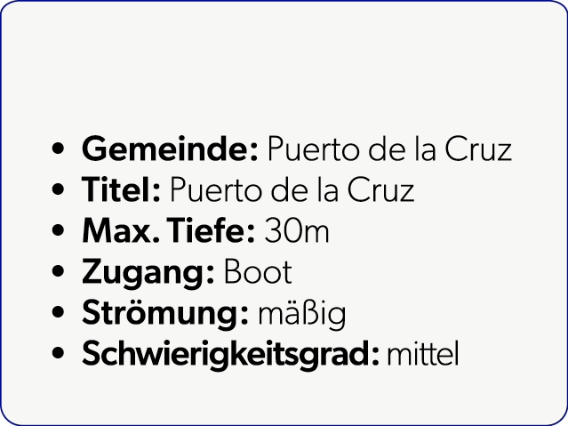  Gemeinde: Puerto de la Cruz Titel: Puerto de la Cruz Max. Tiefe: 30m Zugang: Boot Str mung: m ig Schwierigkeitsgrad...