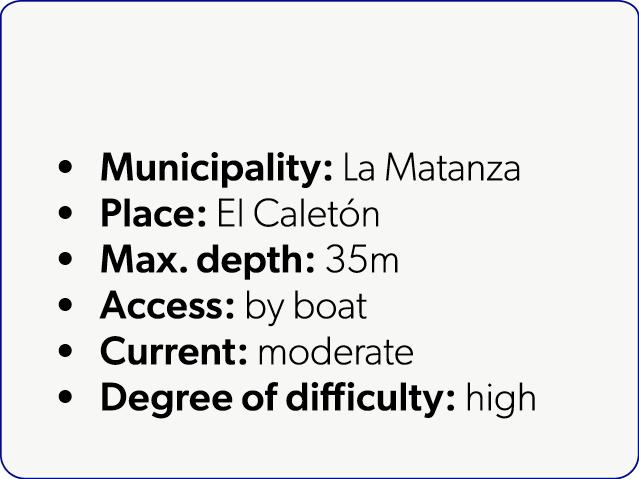  Municipality: La Matanza Place: El Calet n Max. depth: 35m Access: by boat Current: moderate Degree of difficulty: high