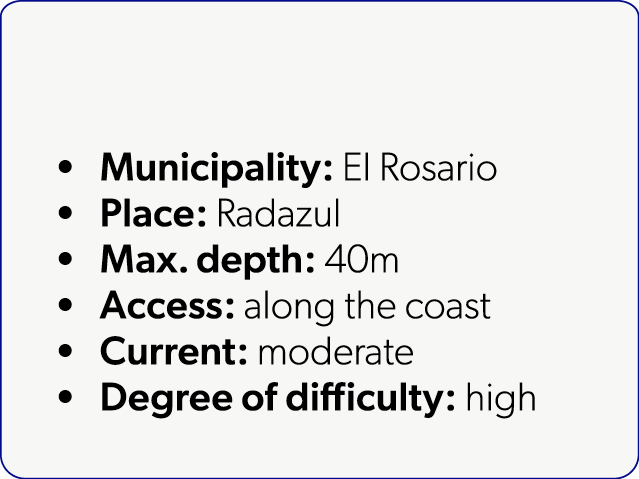  Municipality: El Rosario Place: Radazul Max. depth: 40m Access: along the coast Current: moderate Degree of difficul...
