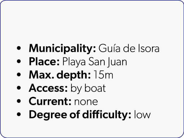  Municipality: Gu a de Isora Place: Playa San Juan Max. depth: 15m Access: by boat Current: none Degree of difficulty...
