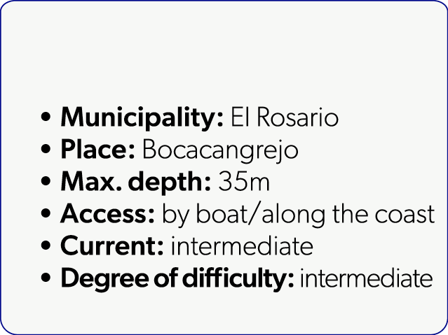  Municipality: El Rosario Place: Bocacangrejo Max. depth: 35m Access: by boat/along the coast Current: intermediate D...