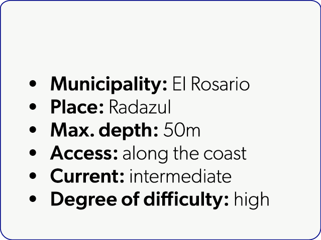  Municipality: El Rosario Place: Radazul Max. depth: 50m Access: along the coast Current: intermediate Degree of diff...