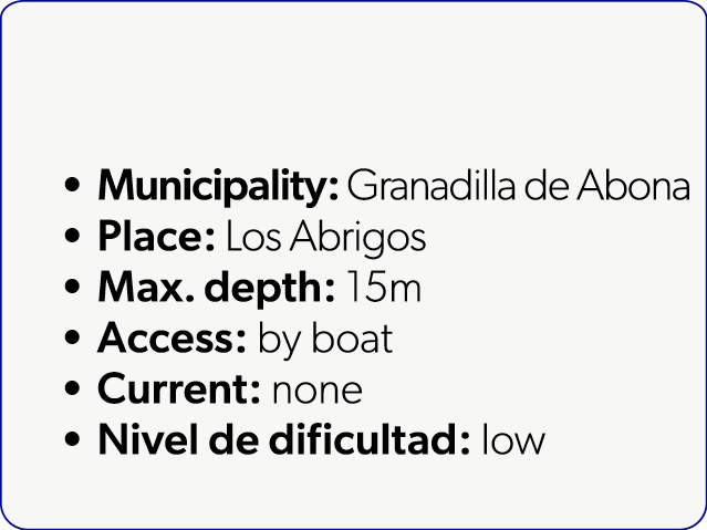  Municipality: Granadilla de Abona Place: Los Abrigos Max. depth: 15m Access: by boat Current: none Nivel de dificult...