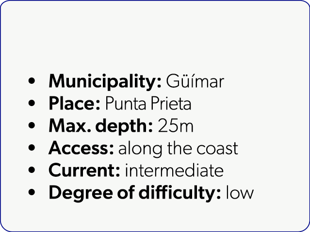  Municipality: G mar Place: Punta Prieta Max. depth: 25m Access: along the coast Current: intermediate Degree of dif...