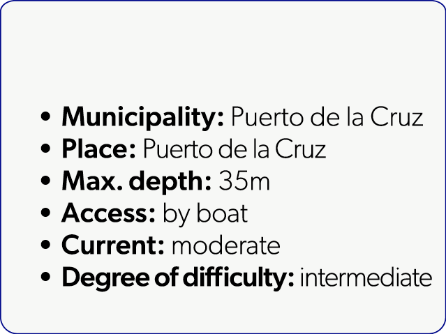  Municipality: Puerto de la Cruz Place: Puerto de la Cruz Max. depth: 35m Access: by boat Current: moderate Degree of...